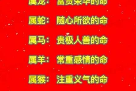 2002年是什么木命：探索木命的特点与人生运势