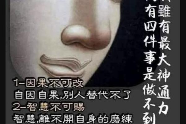 大王金命的奥秘：探索命理学中的独特象征与启示