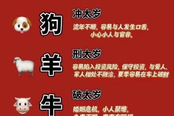 高低之命：解析生肖在命理中的奥秘与象征