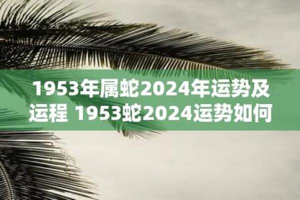 1953年出生的人：揭开属于“蛇”命的人生密码