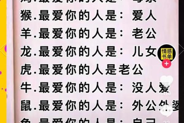 属兔人的命运解析：出生月份与性格、事业、爱情的深刻关联