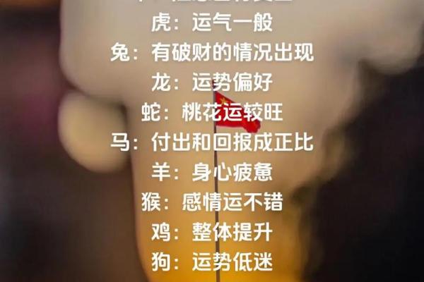 52年出生的生肖与命运：揭秘属于你的独特人生之路