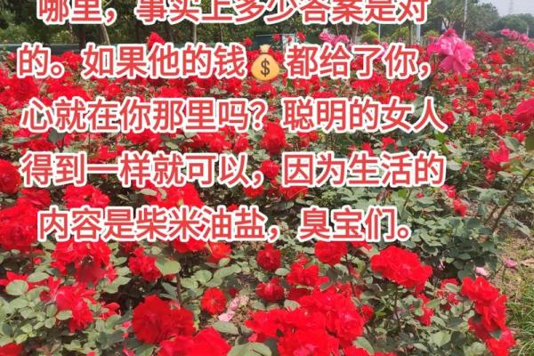 当女人掌控财务，男人的金钱究竟去哪了？