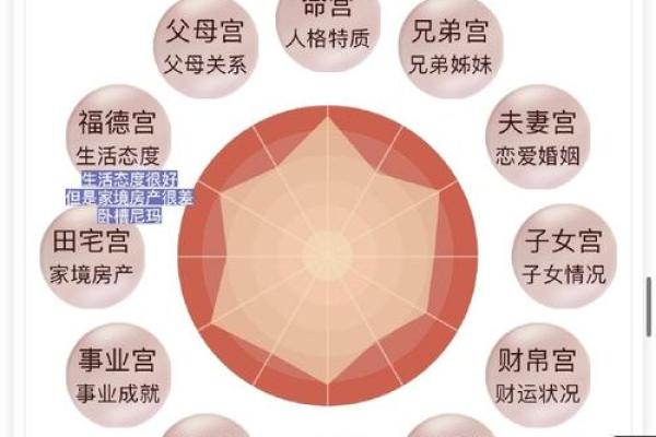 男女命理的深层解析：命运背后的性别差异与共鸣