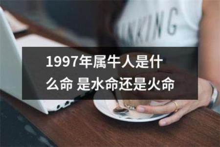 揭秘水命：如何有效判断一个人的命理特征