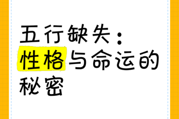 探寻五行命理：数字与命运的秘密之旅