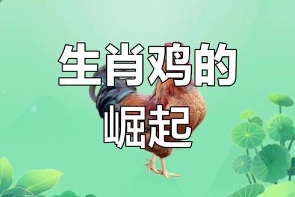 28属鸡是什么命？探索命理与人生之道！