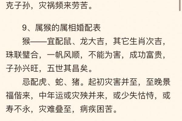 属狗人的命运与性格解读：忠诚与智慧的完美结合