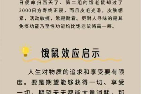 2020年生肖解析：鼠年运势与生活启示