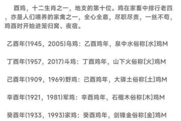 1981年属鸡人的命运解析：如何在生活中迎接机遇与挑战