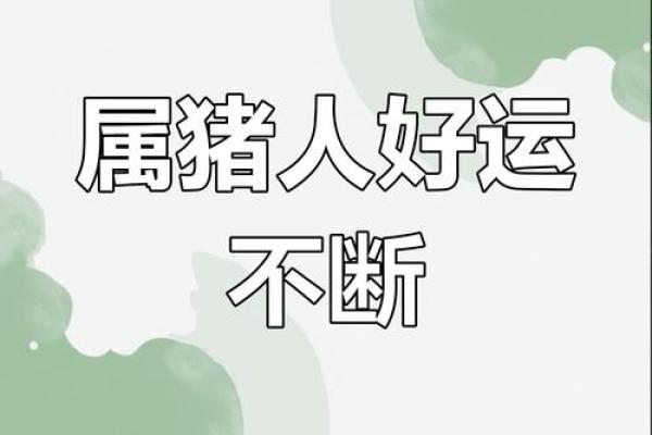 山头火命女命猪：探索命理与动物生肖的奇妙结合