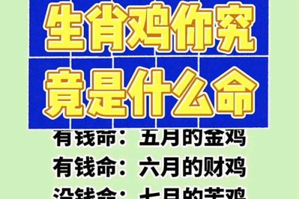 1981年属鸡人的命运分析与人生智慧