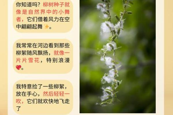 杨柳木命的特质与适宜之道：如何找到内心的平衡与和谐