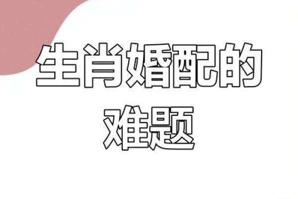 属狗老公的命理揭秘与婚姻幸福指南