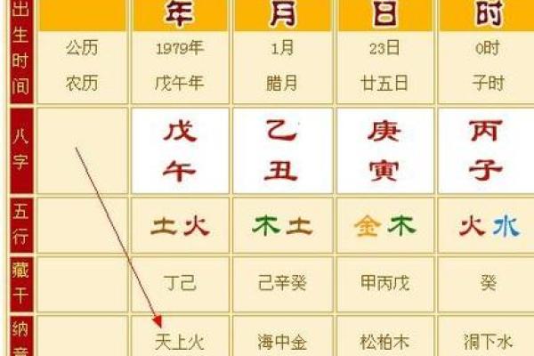 2010年是什么年命？深度解析这一年的运势与人生哲学