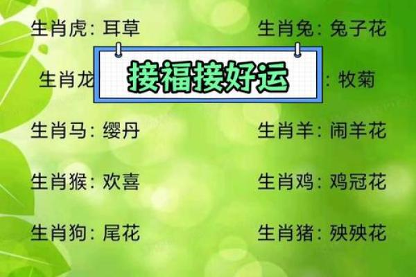 44年属什么生肖与命理解析：解读生肖猴与其命运