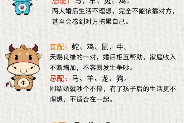 揭秘十二生肖婆娘的命运：她们的性格与命格分析