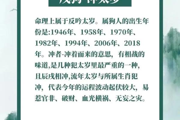 1994年属狗人的命运解析：机遇与挑战并存的生命旅程