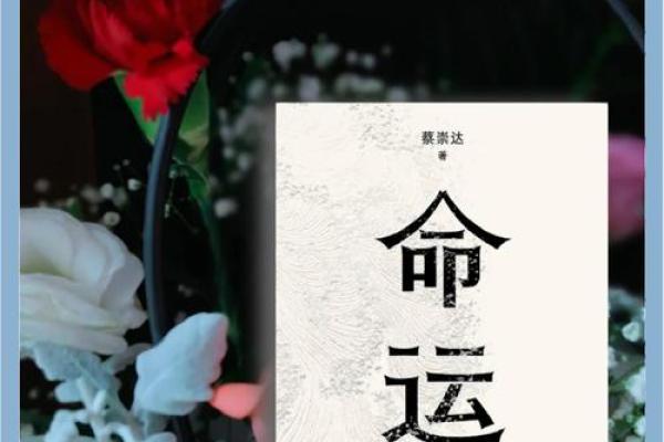 探秘命运的轮回：一命惨命鬼揭示的生命真相