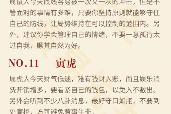 2021年属老鼠命理解析：揭秘鼠年人的命运与运势变化