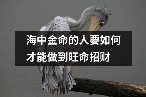 海中金命的独特魅力与人生特征探究