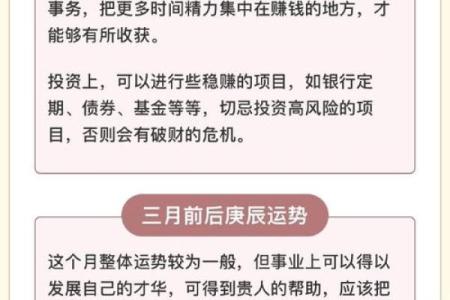 2006年命卦解析：揭示你生命中的机遇与挑战