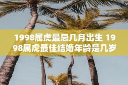 1998年出生的人命运解析：走向辉煌的旅程与挑战之道