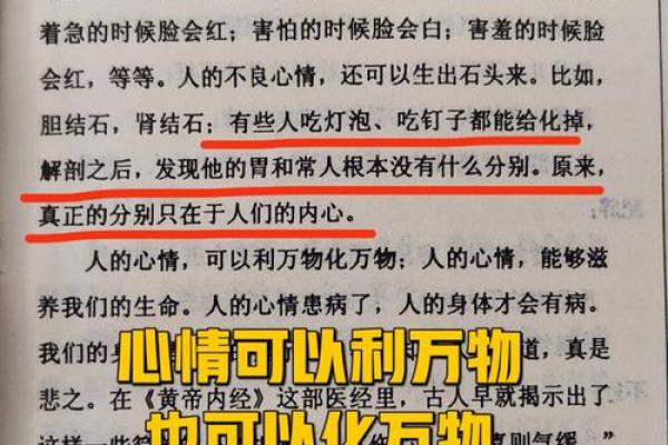 1991年出生的人命理解析：揭示属羊人的人生轨迹与性格特征