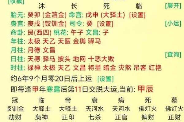 04年猴命的命理解析与生活指南，带你走向好运人生