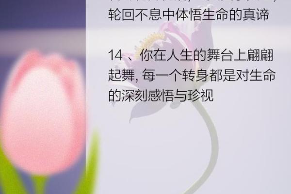 卢巧音的《什么命》：人生轮回的思考与感悟