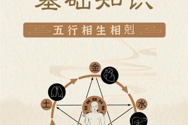 探索1995年纳音的魅力与智慧，了解木火土金水的五行相生相克