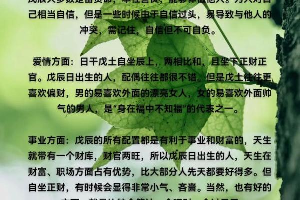 命理中的大财概念：如何把握财富的密码与机遇