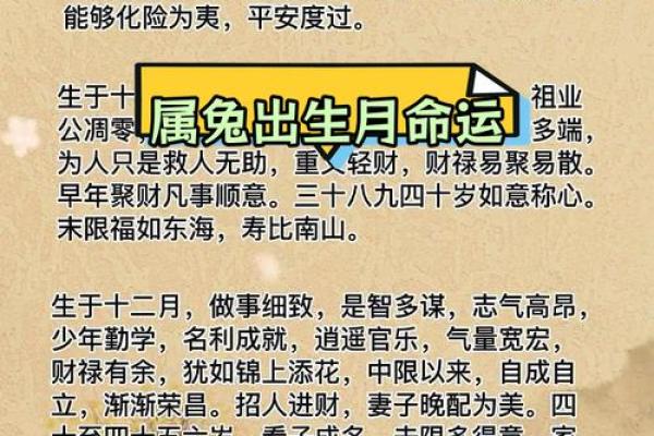 2022年属兔午时命运解析：兔年之人的性格与运势揭秘