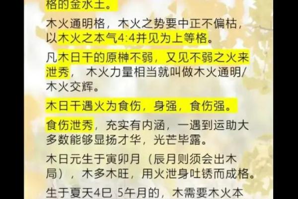 火命与木命的深度剖析：命理中的元素差异与影响