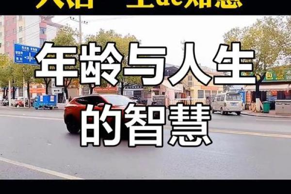 命里有什么就享受什么：乐活人生的智慧之道