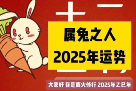 2022年属兔午时命运解析：兔年之人的性格与运势揭秘