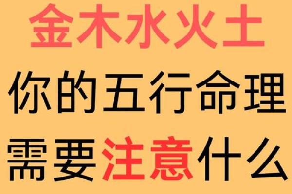 202年命里的属性揭秘：探寻命运的奥秘与人生的可能性