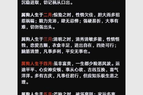 2018年生肖与命运：解读狗年出生的人生轨迹与性格特点