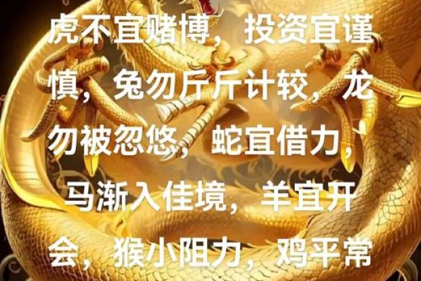 2004年属什么命卦：解密鼠年人的命理与运势