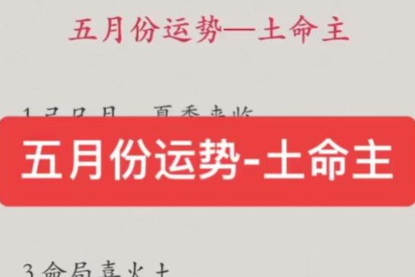 如何根据土命缺失的元素来提升生活幸福感与运势