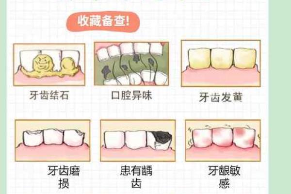 女人牙外凸的命运：影响与改变的探讨