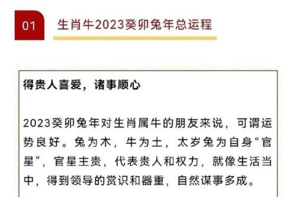 1999年属兔人的命理解读与人生指南