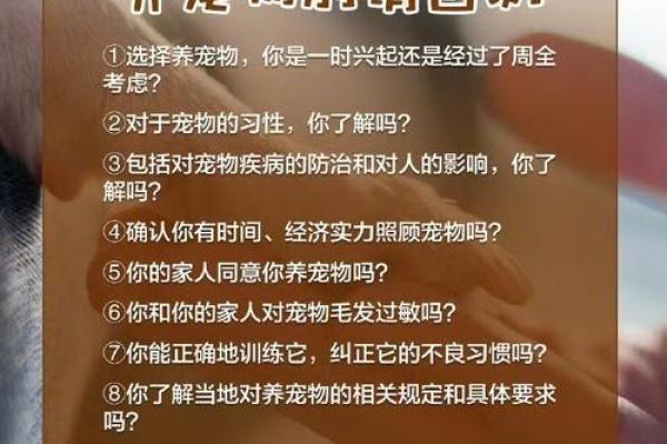 为何争宠让人不惜生命？揭秘爱的极致追求！