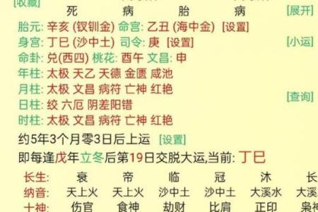 旺夫命：魅力与智慧共舞的女性命格解析