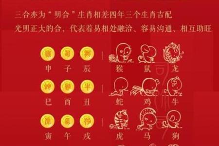 属相与命理：揭示人与人之间的奇妙关系