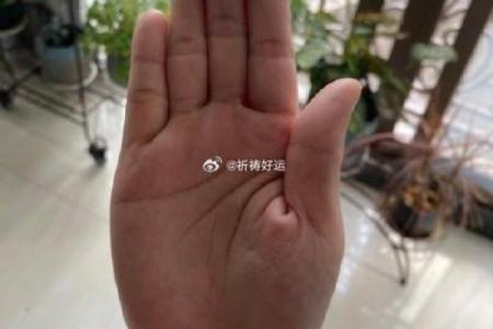 小指往后翘的秘密：你的命运与手相的奇妙联系