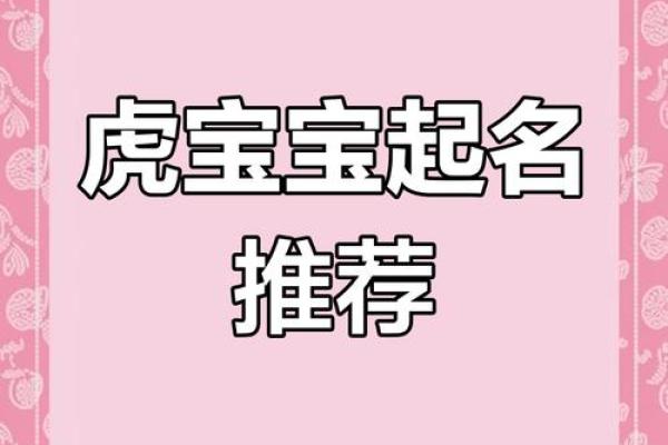 2022年虎宝宝命运解析：它们的未来与个性展望