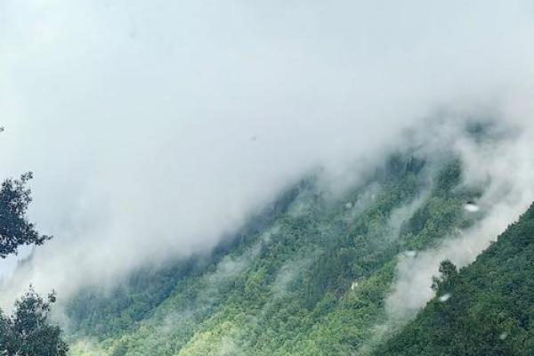 山涧水的命运：从自然形成到人文和谐之旅