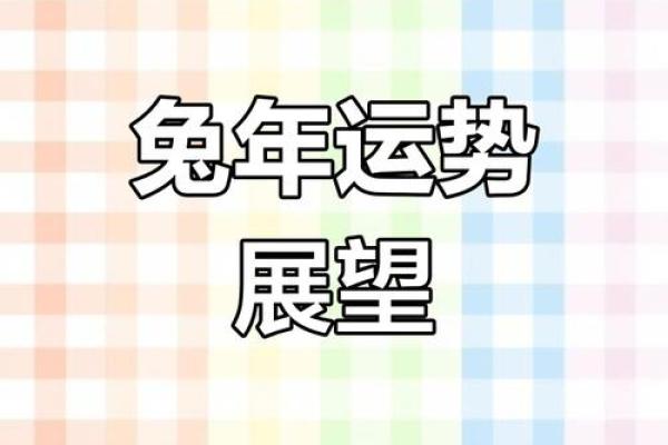 2023年兔年命运解析：探索兔子的命理与运势