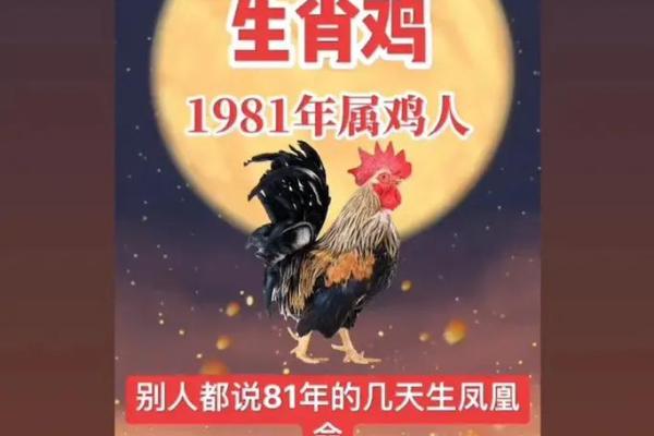 1981年出生的你，命运与生肖的深度解析！